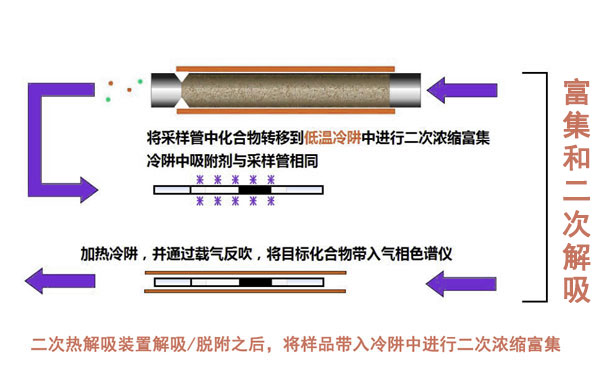 富集和二次解吸